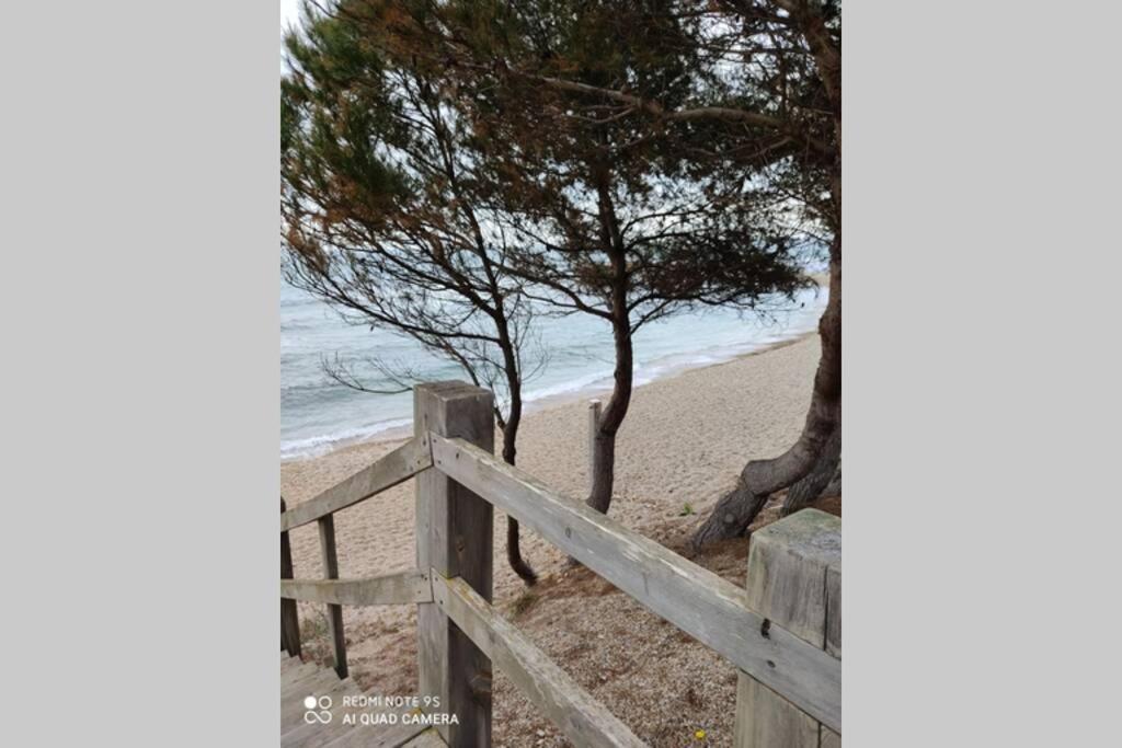 Casa Oliveres Beach En L' Ampolla Villa El Perelló Eksteriør billede